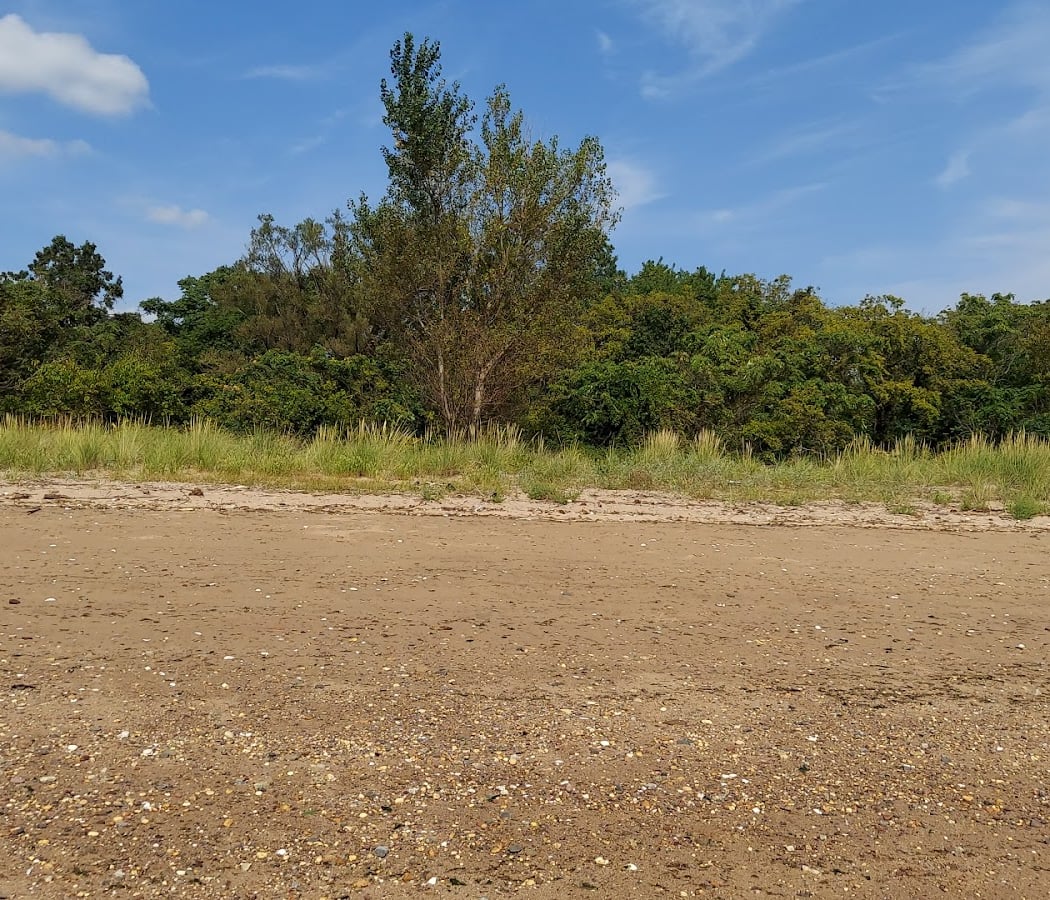 Ward's Point 2