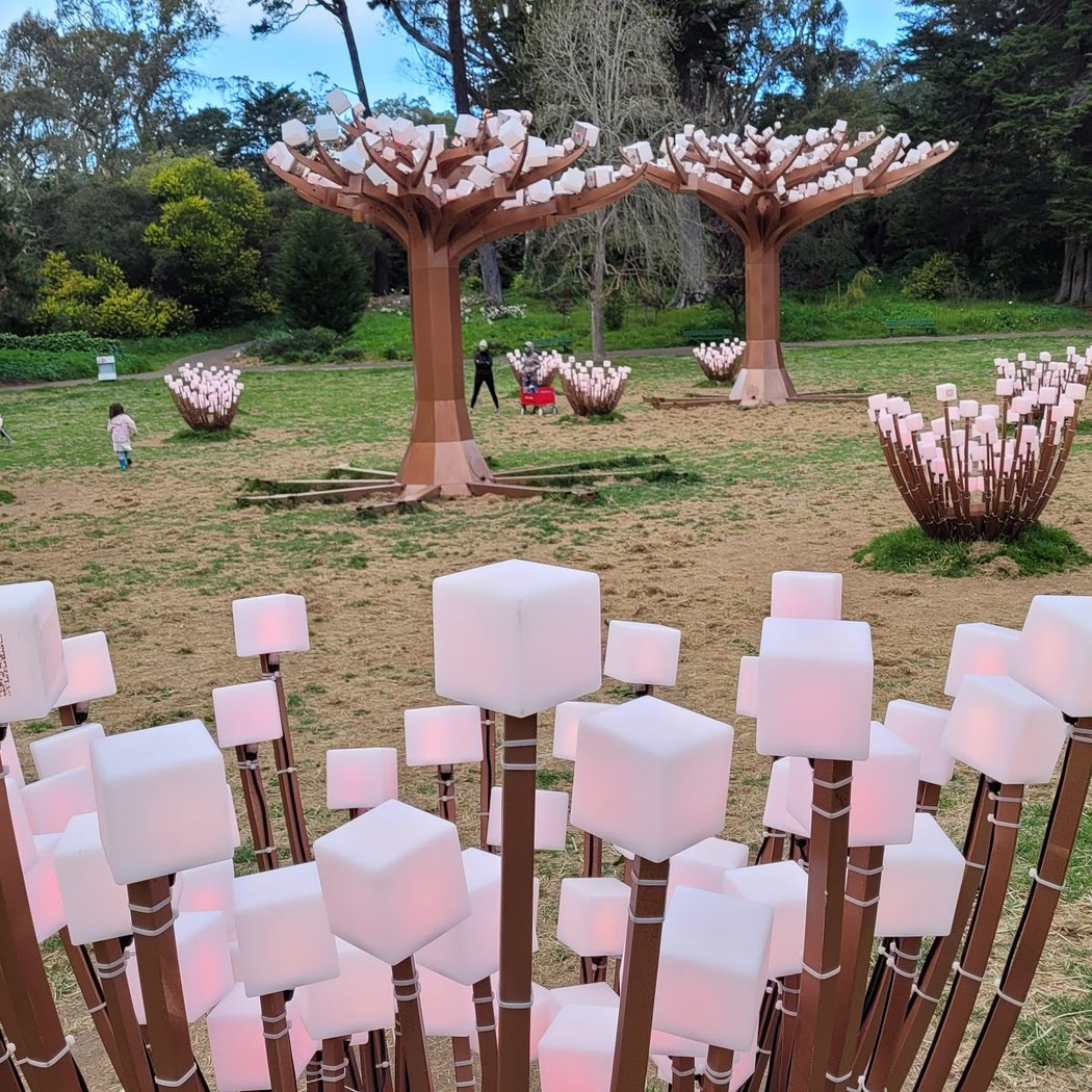 Peacock Meadow 3