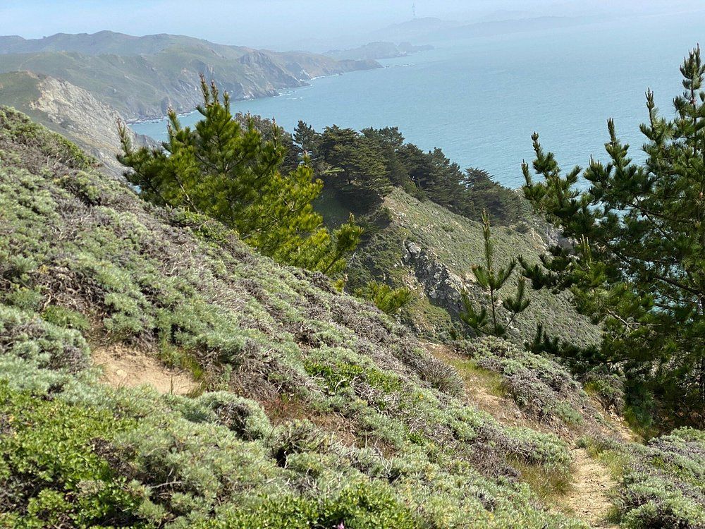 Mount Tamalpais State Park 2