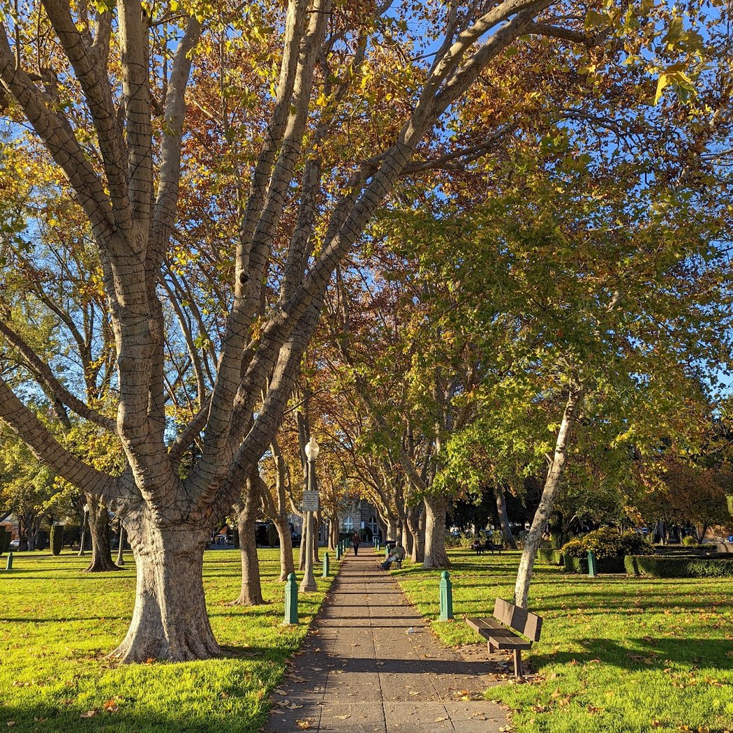 Sonoma Plaza 2