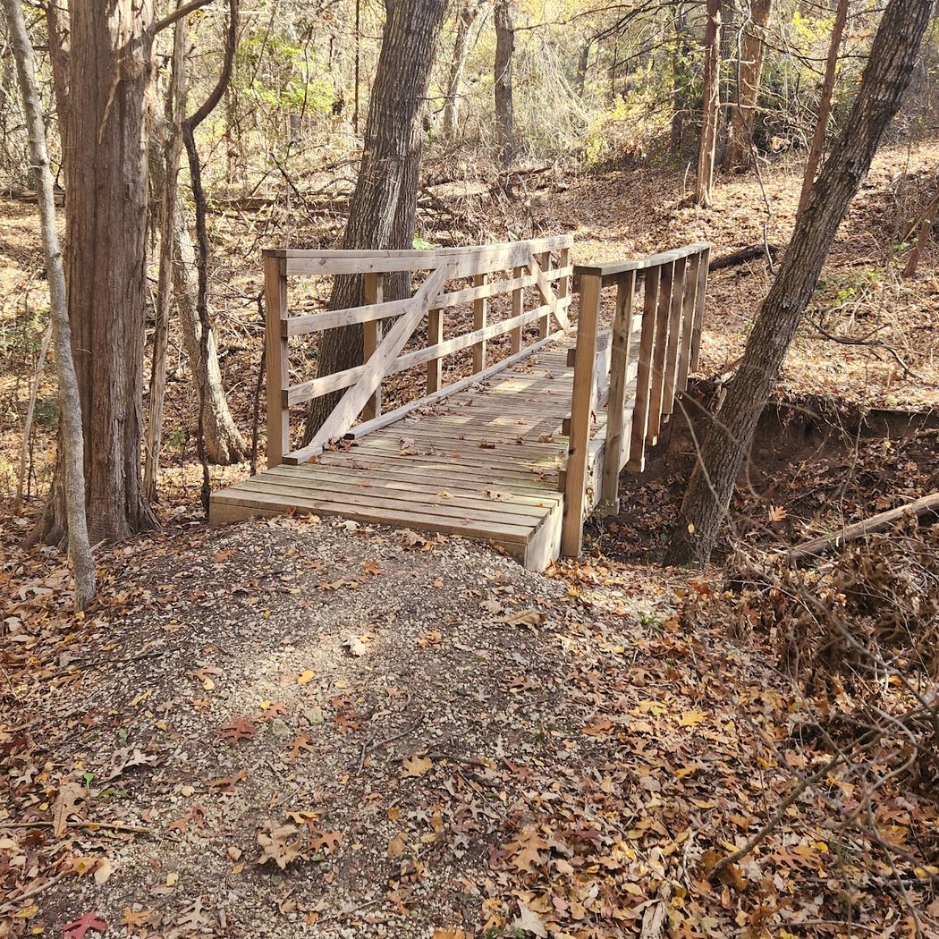 Guided Tree ID Walk 1