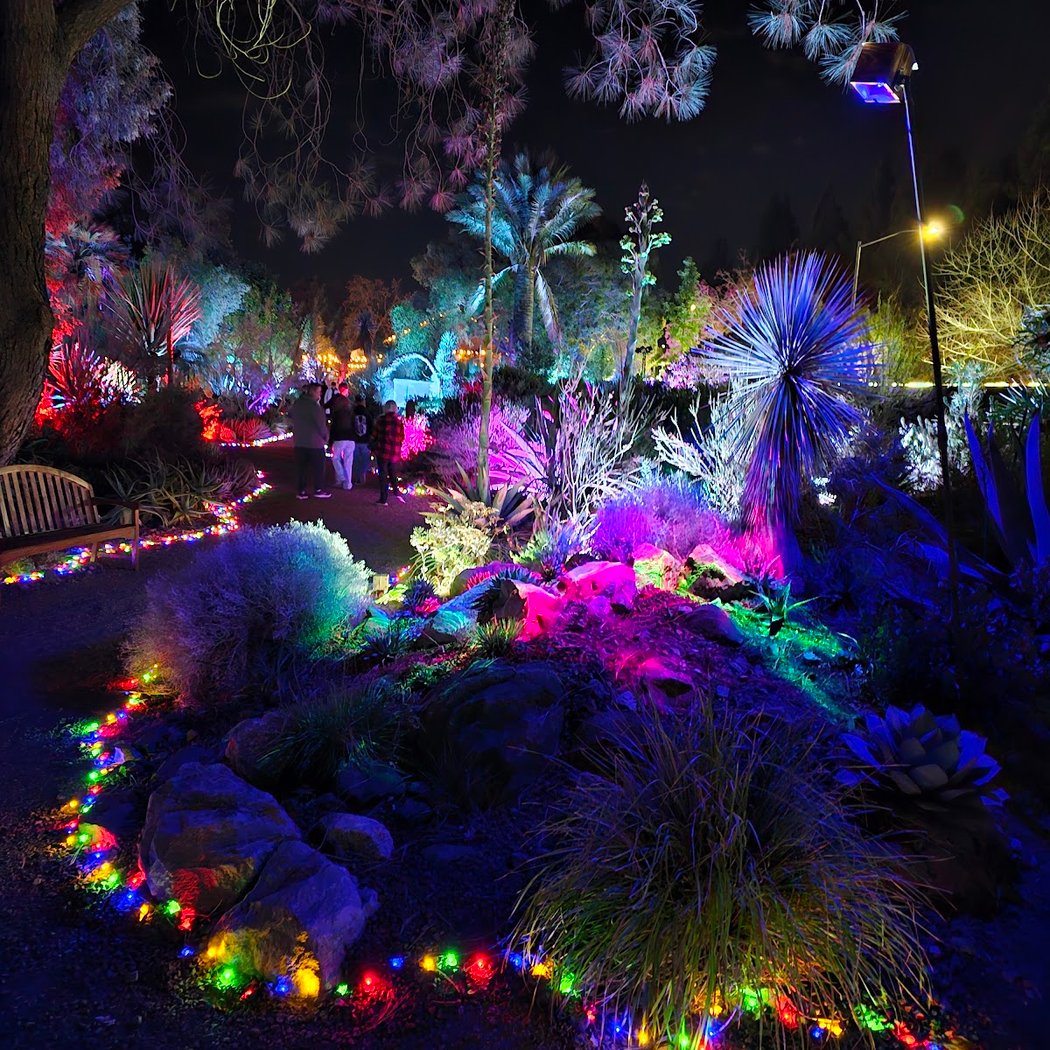 Garden of D’Lights 1