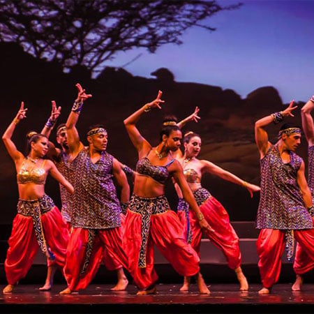 India Festival 4