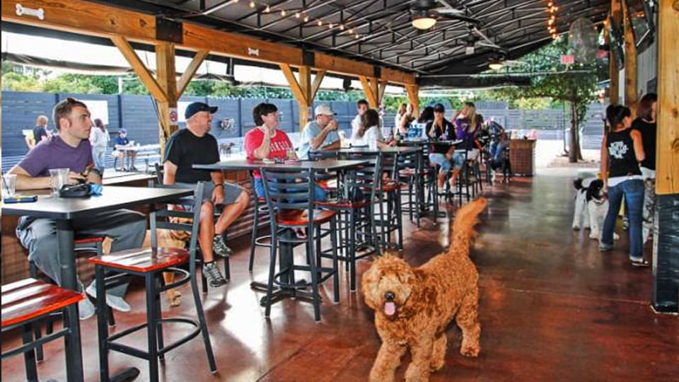 Thursday Trivia Night at Lucky Dog Bark & Brew 2