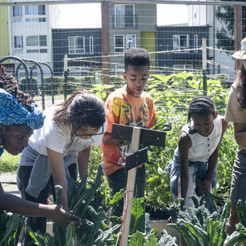 Community Farm Day 1
