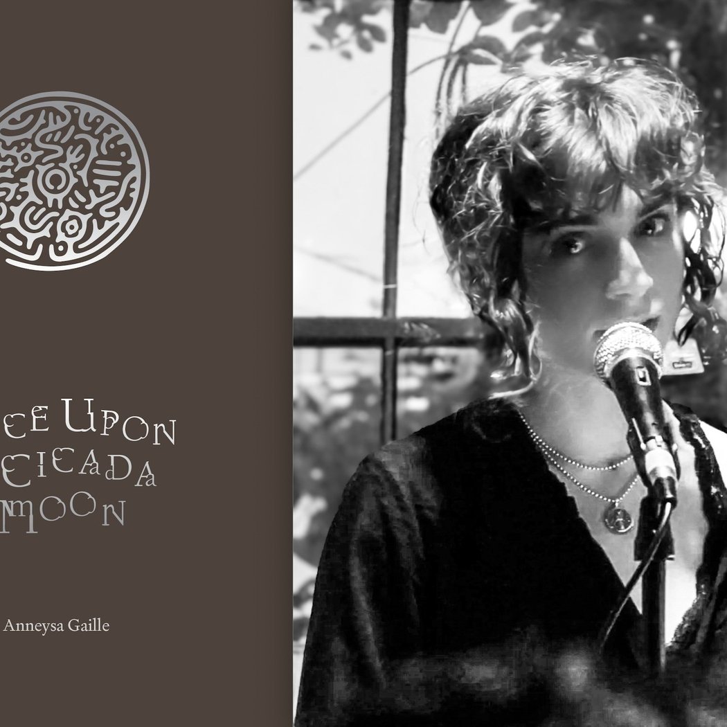 Booklaunch/Party for Anneysa Gaille's ONCE UPON A CICADA MOON 1