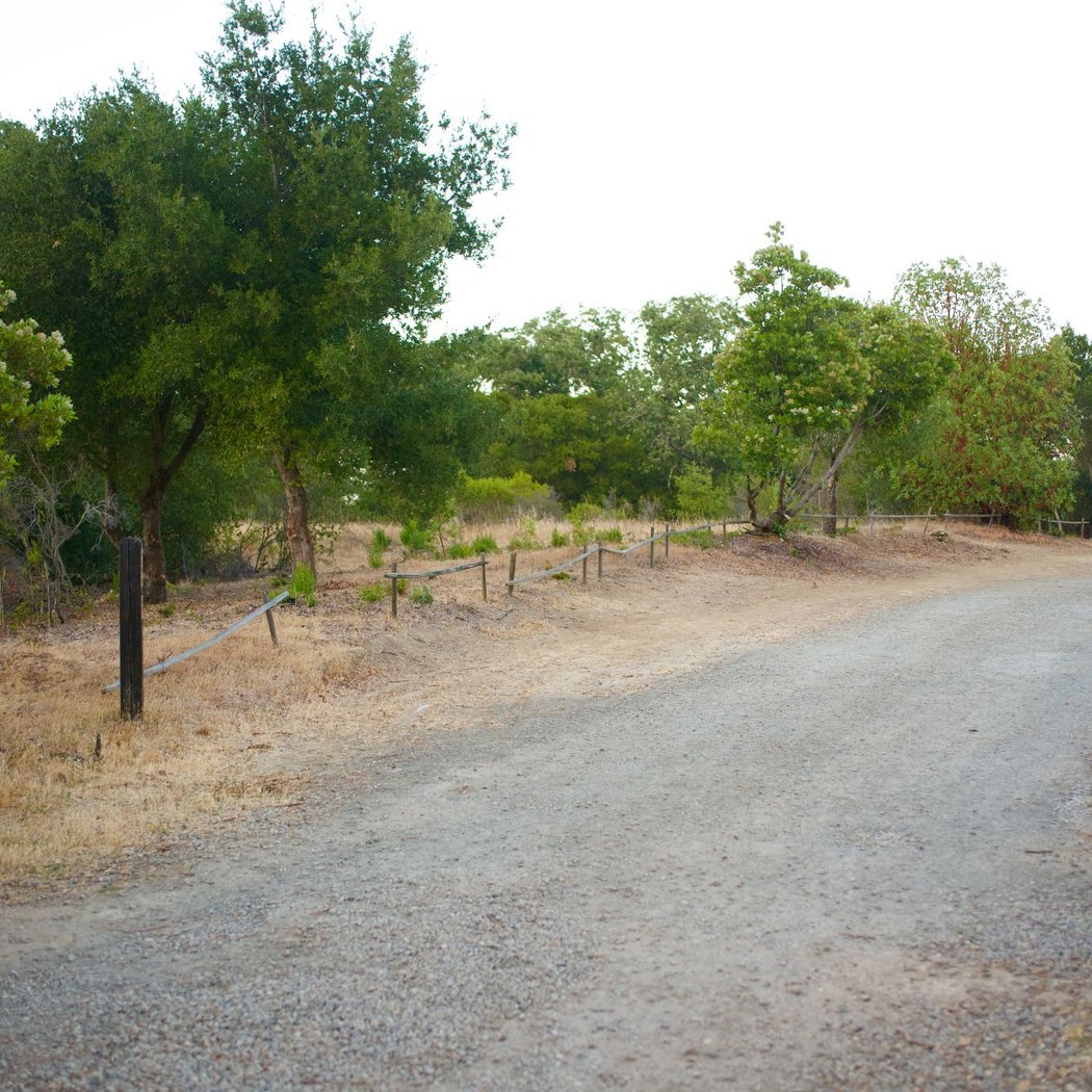 Coal Mine Ridge 2