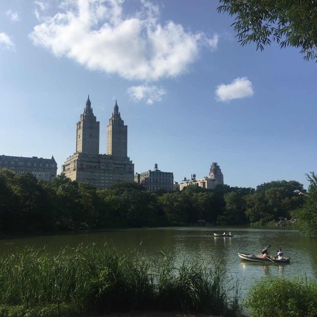 Central Park S 2