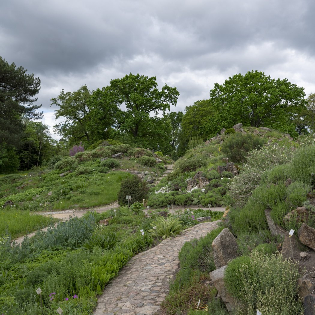 Botanical Garden and Botanical Museum 3
