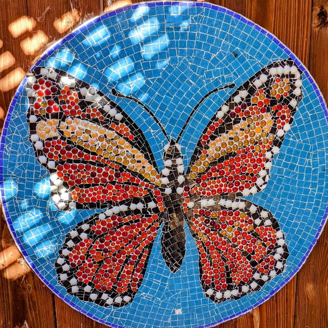 Coyote Hills Nectar Garden 2