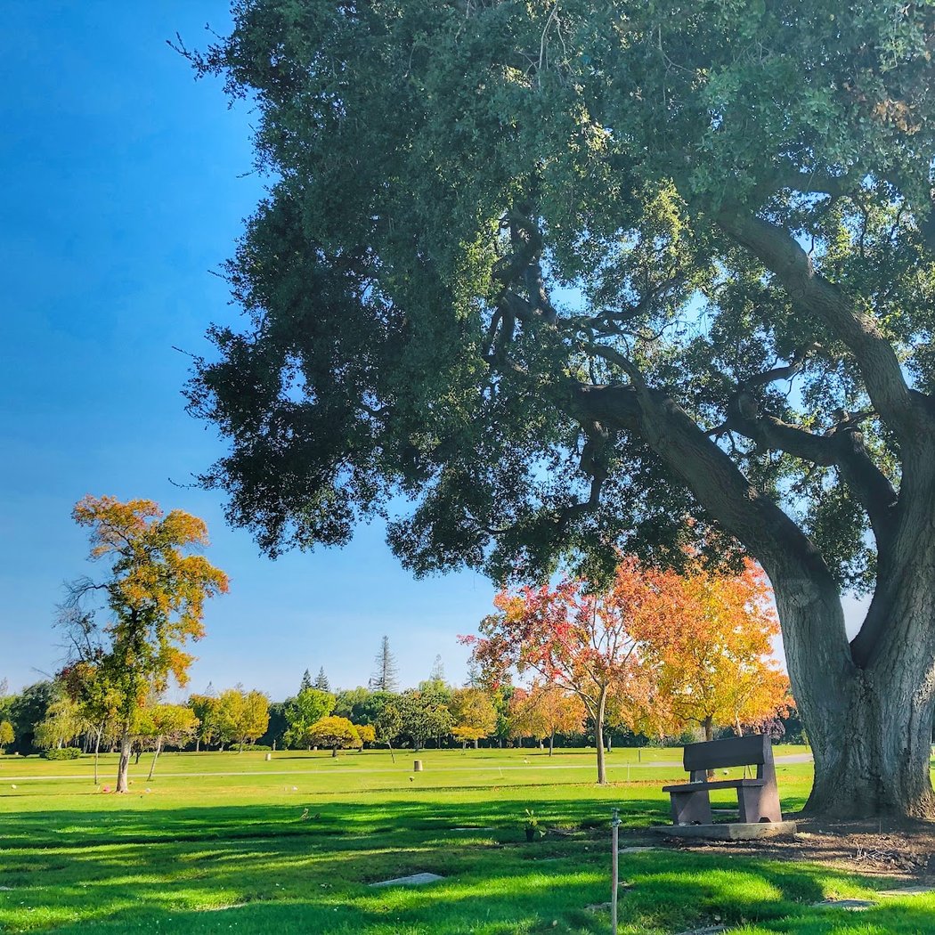 Alta Mesa Memorial Park 1