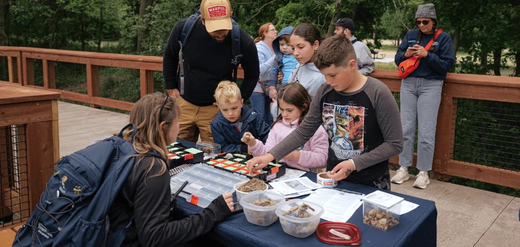 Drop-In Discoveries: Prairie Insects 4