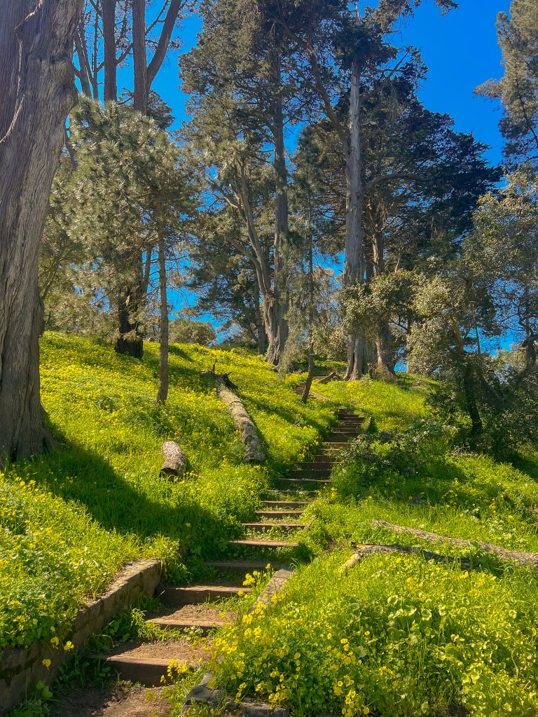 Buena Vista Park 1
