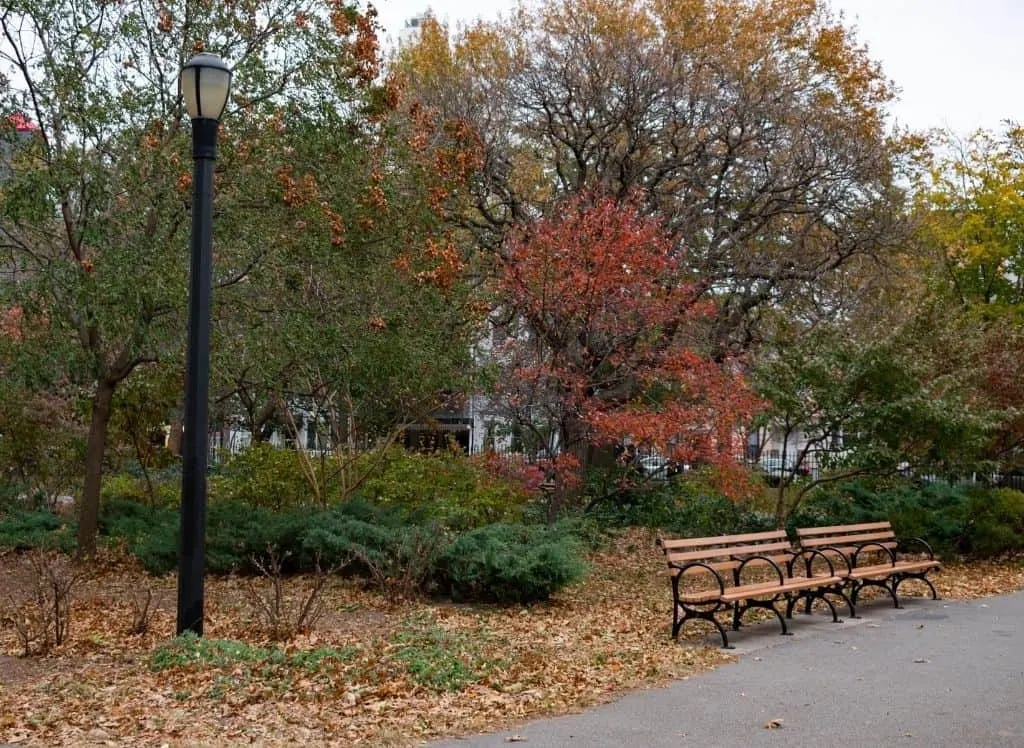 Marsha P. Johnson State Park 3