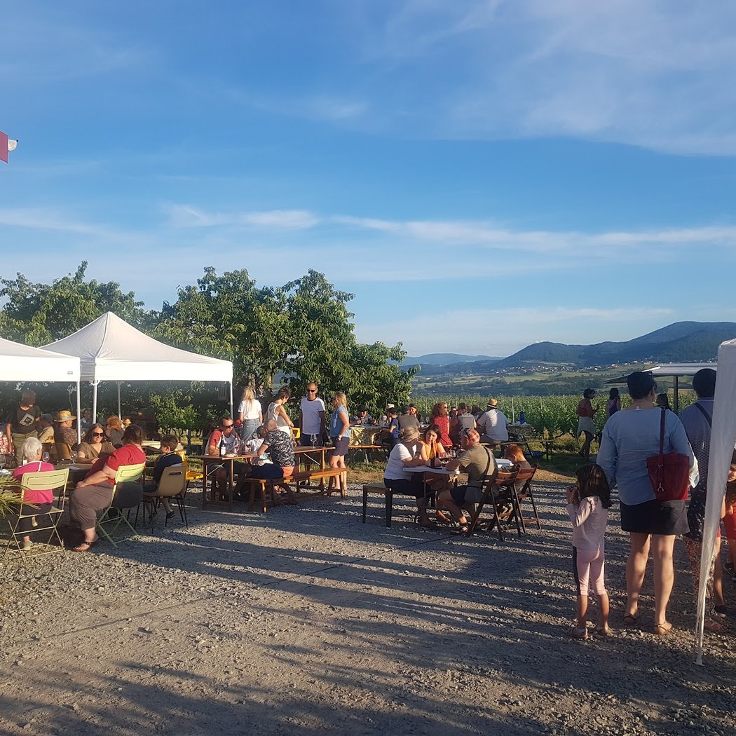 Domaine de Crêt de Bine 2