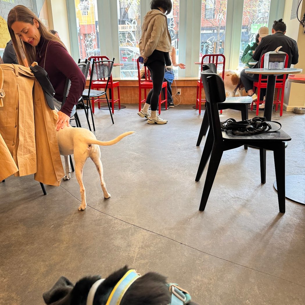 Dog-Friendly Trivia 3
