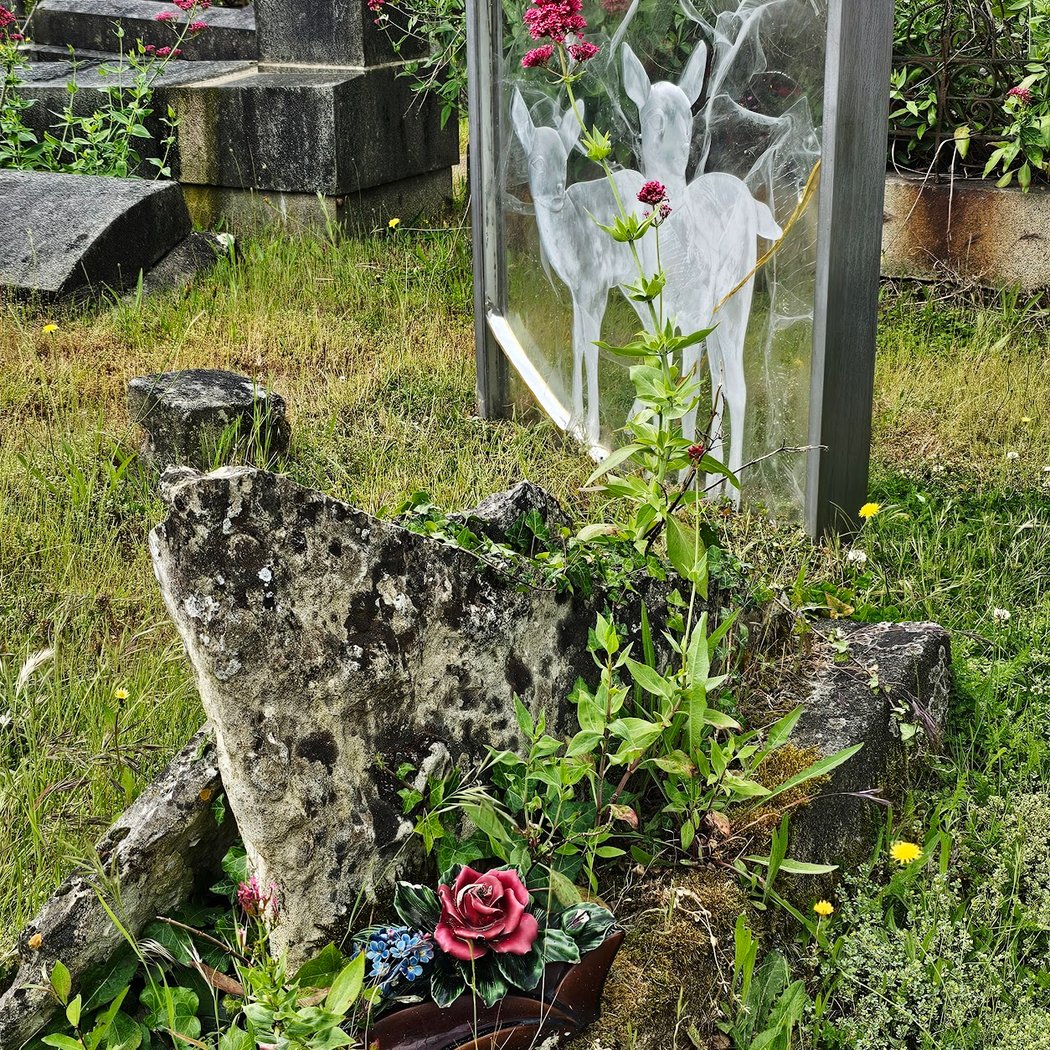 Visite du cimetière Miséricorde 1