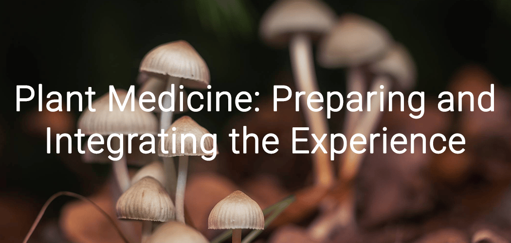 Plant Medicine: Preparing and Integrating the Experience 1