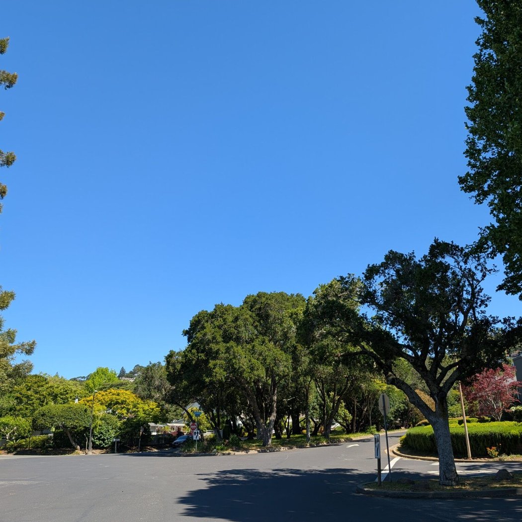 Greenbrae 2