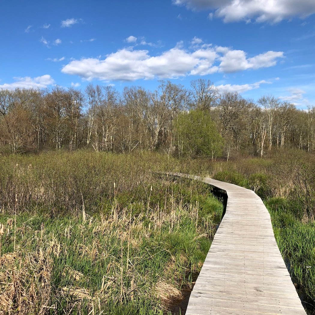 White Memorial Conservation Center 2