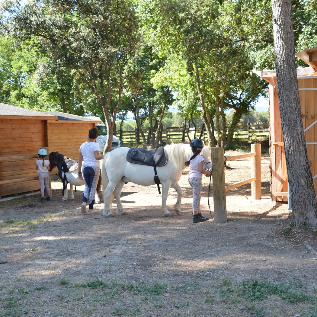 Lucky Horse Ranch 2