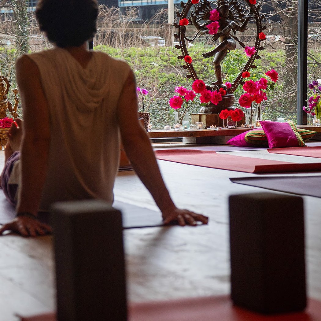 Restorative Yoga $10 Community Class with Nisha Nusrath 5