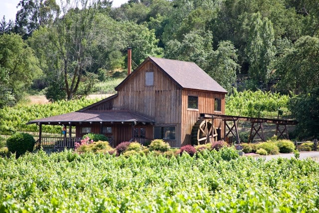 Wine Blending and BBQ Lunch 1