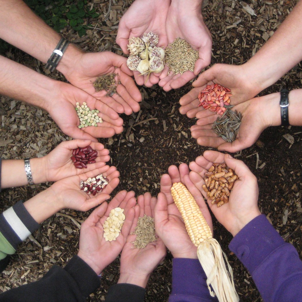 Fall Seed Swap 1