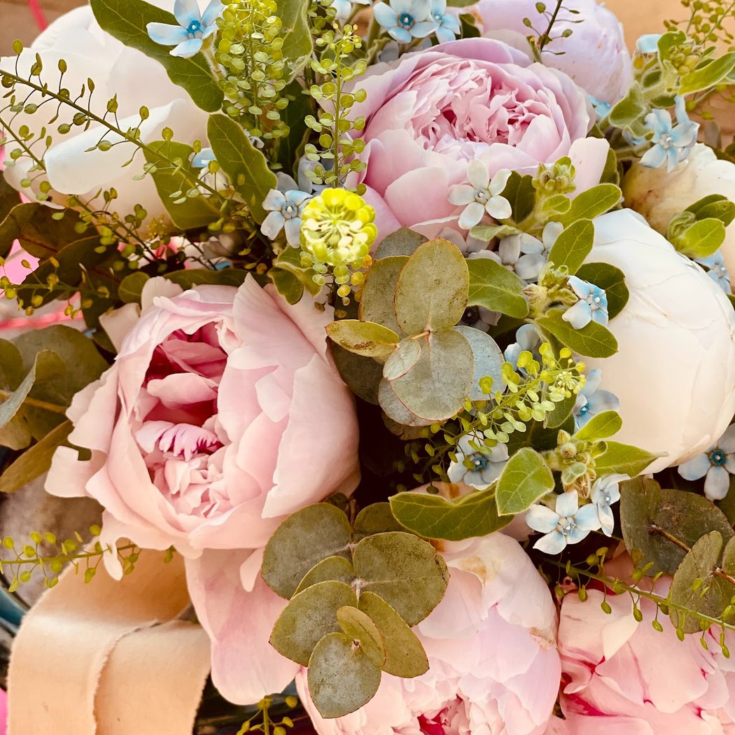 Les Fleurs de la Duchesse 1