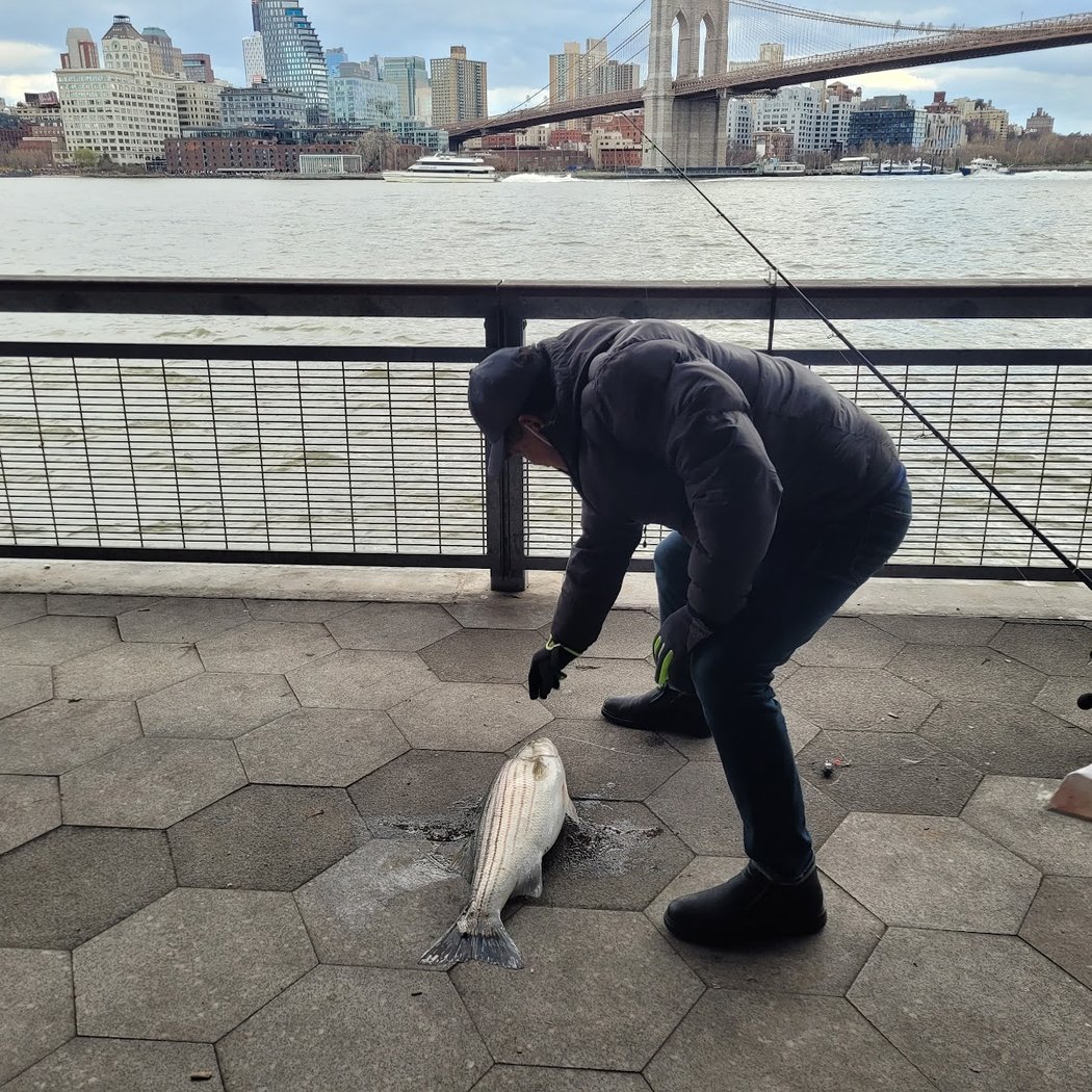 East River Greenway 3