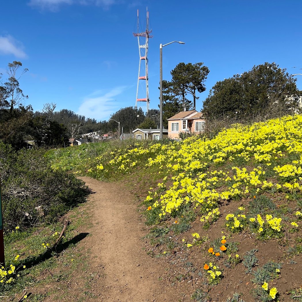Laguna Honda Community Trail System 1