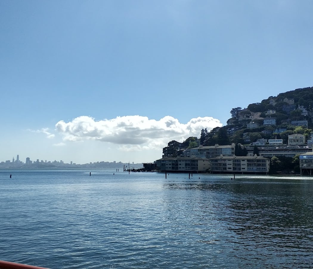 Sausalito Sea Wall 2