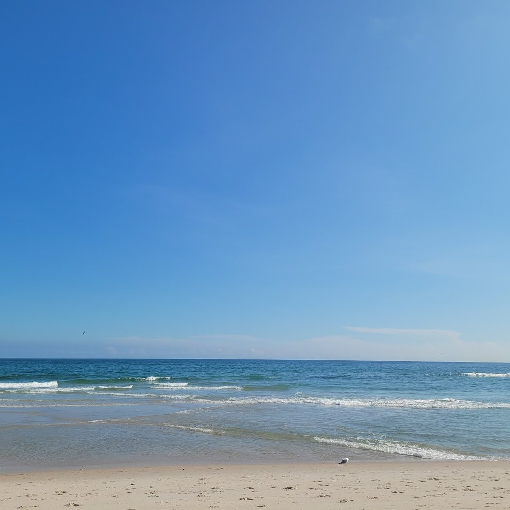 Robert Moses State Park Field 2 4