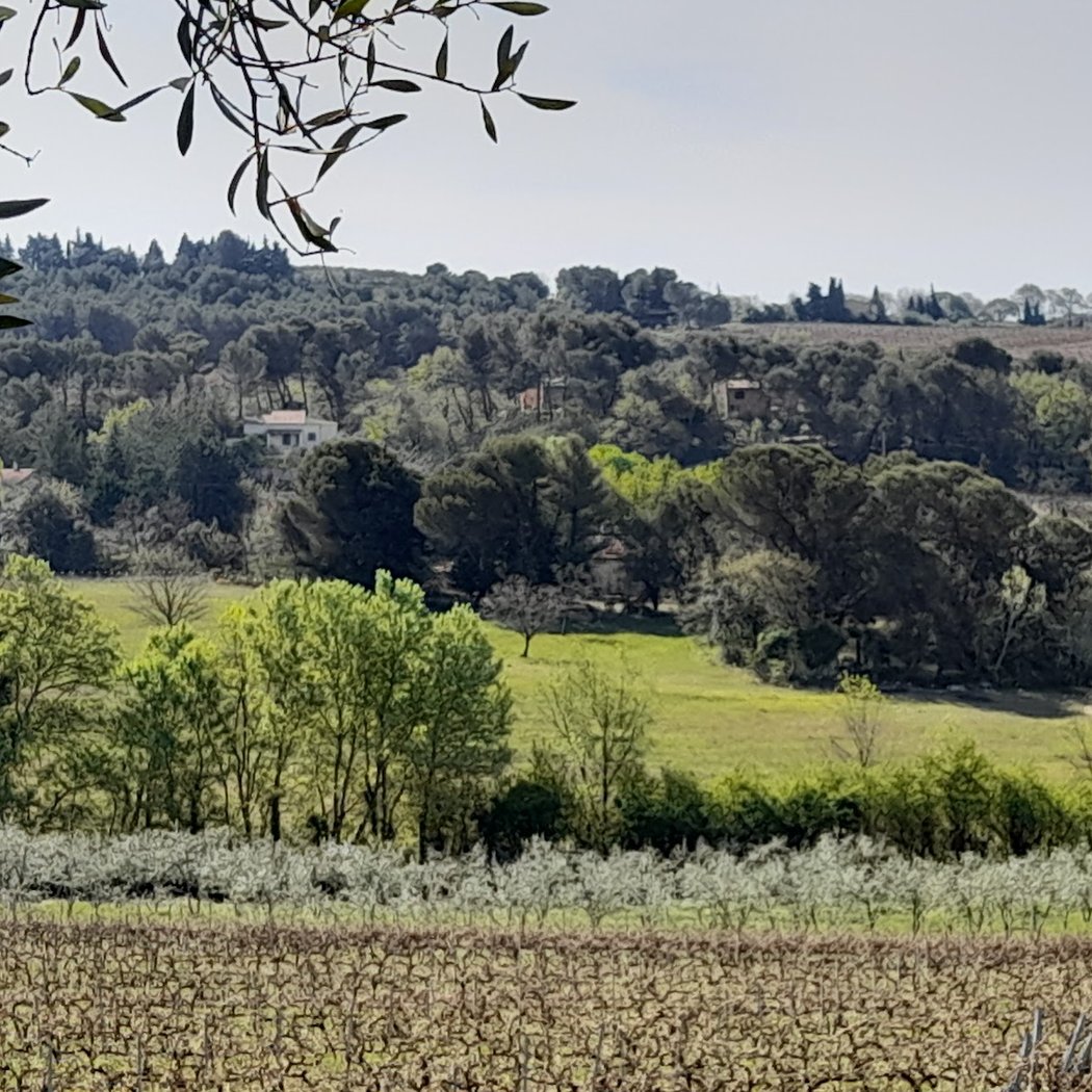 domaine des adrès 2