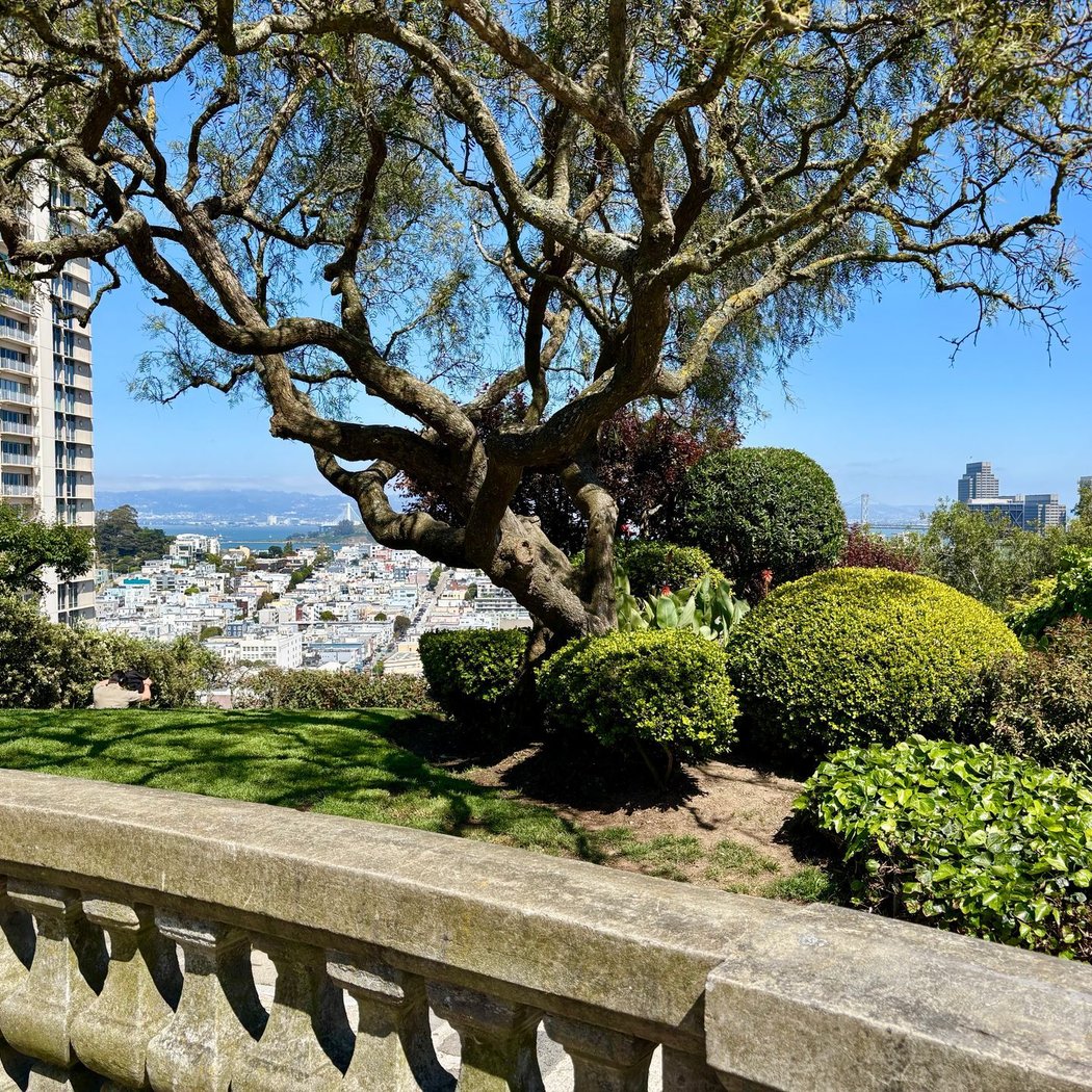 Vallejo Street 1