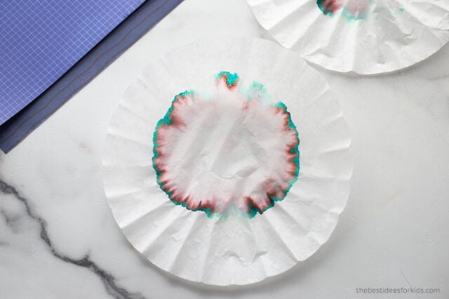 Coffee-Filter Chromatography 3