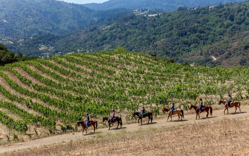 Horseback Riding Adventure 1