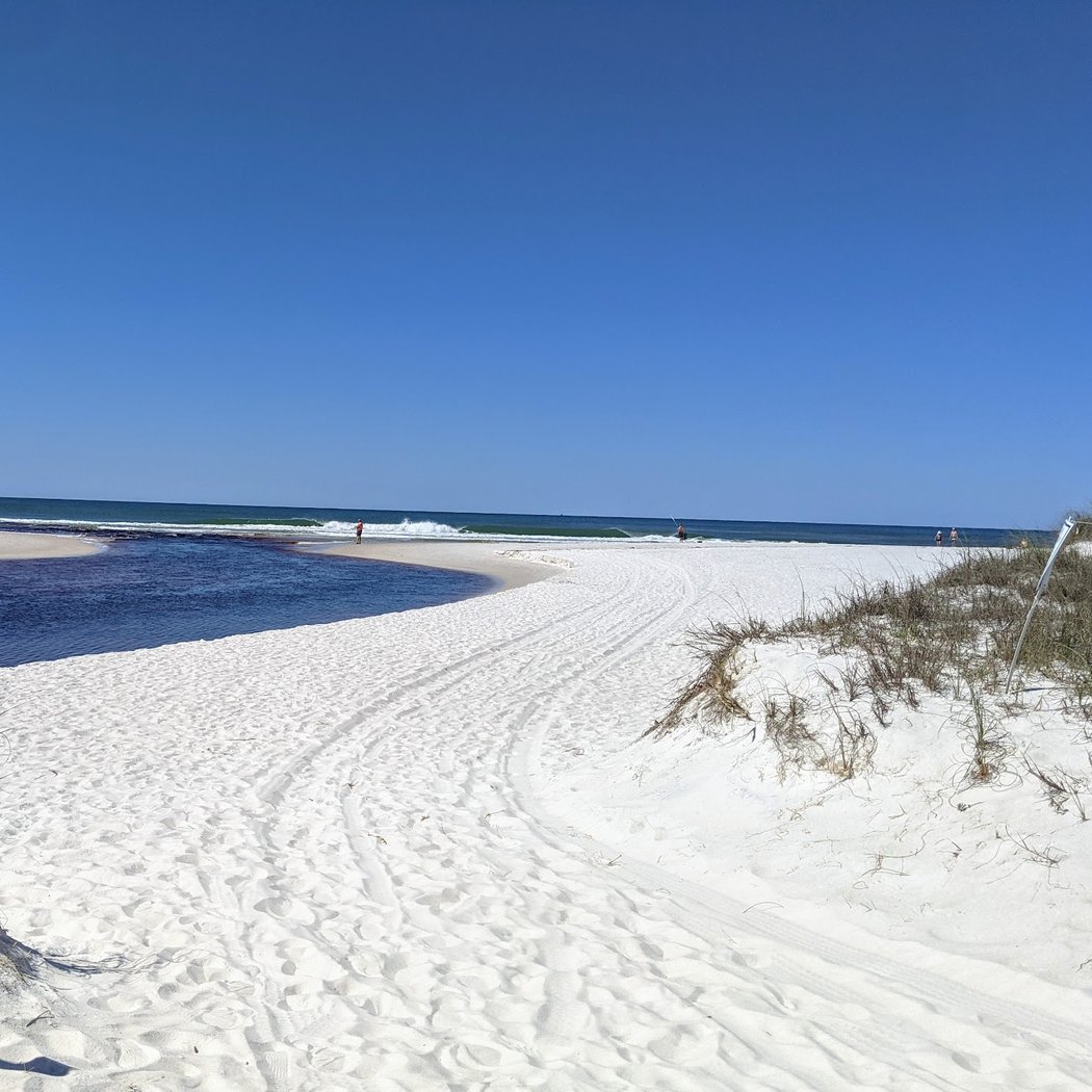 Camp Helen State Park 1