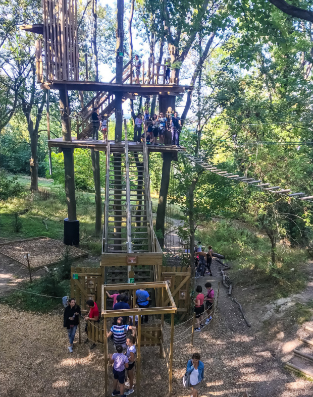 AccroCamp Rueil-Malmaison Tree Climbing Adventure 4