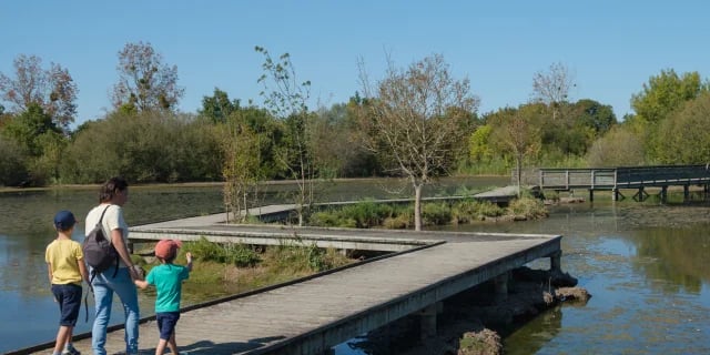 Plan d'eau de la Côte 1
