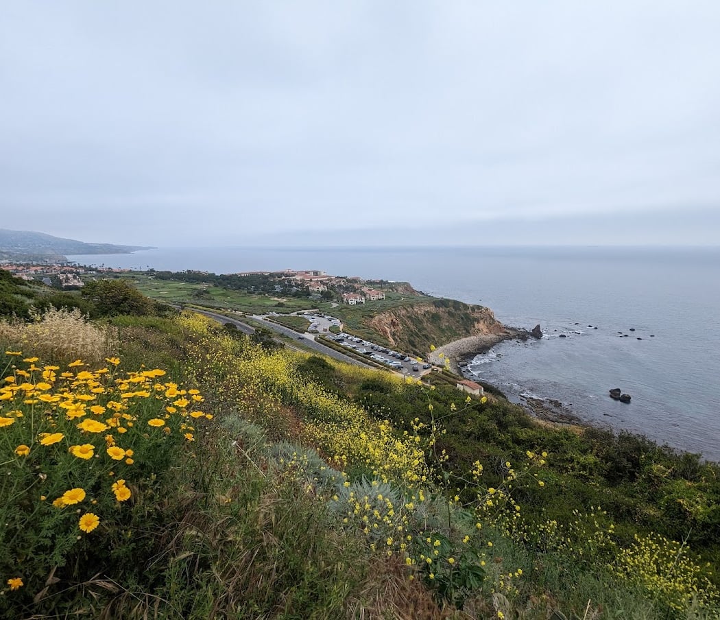 Alta Vicente Reserve Outdoor Volunteer Day 2