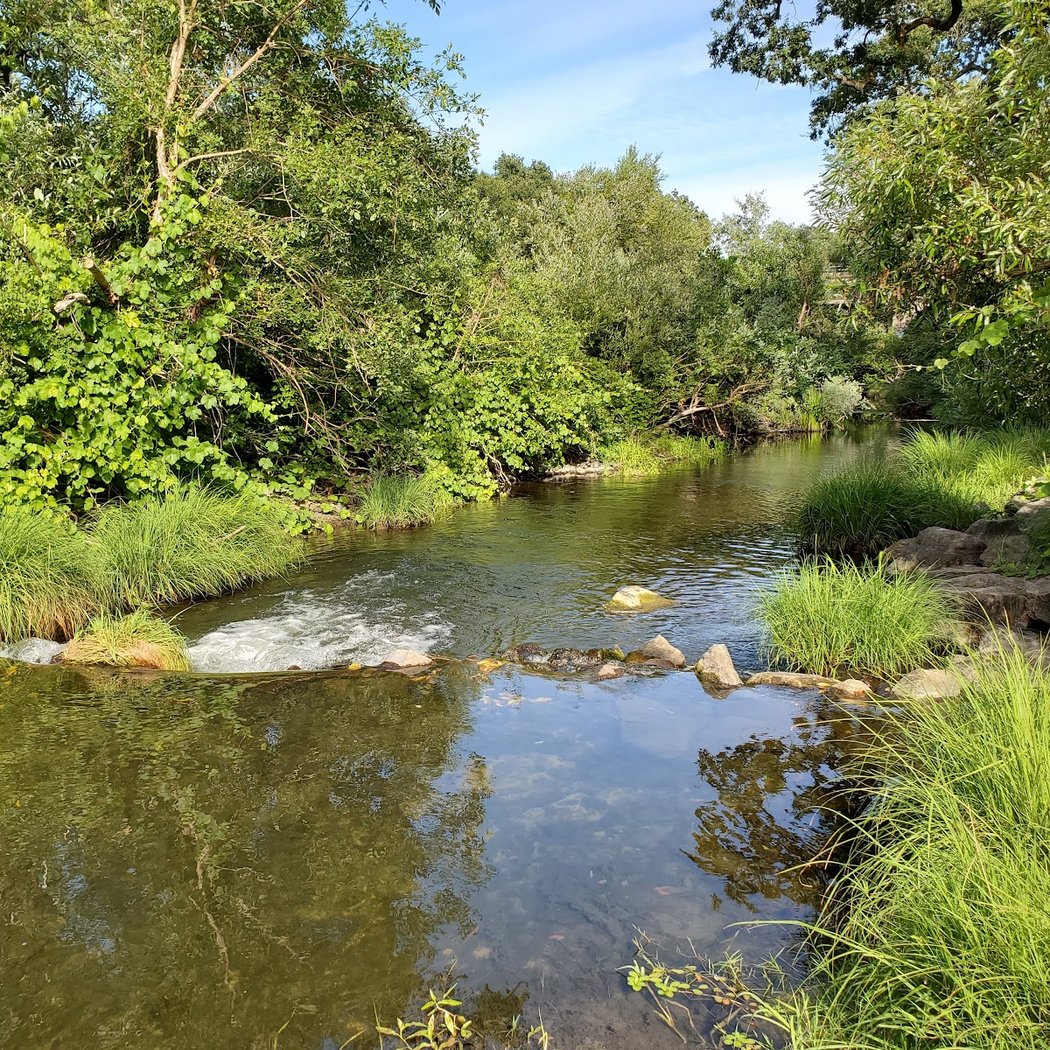 Napa River Trail 1