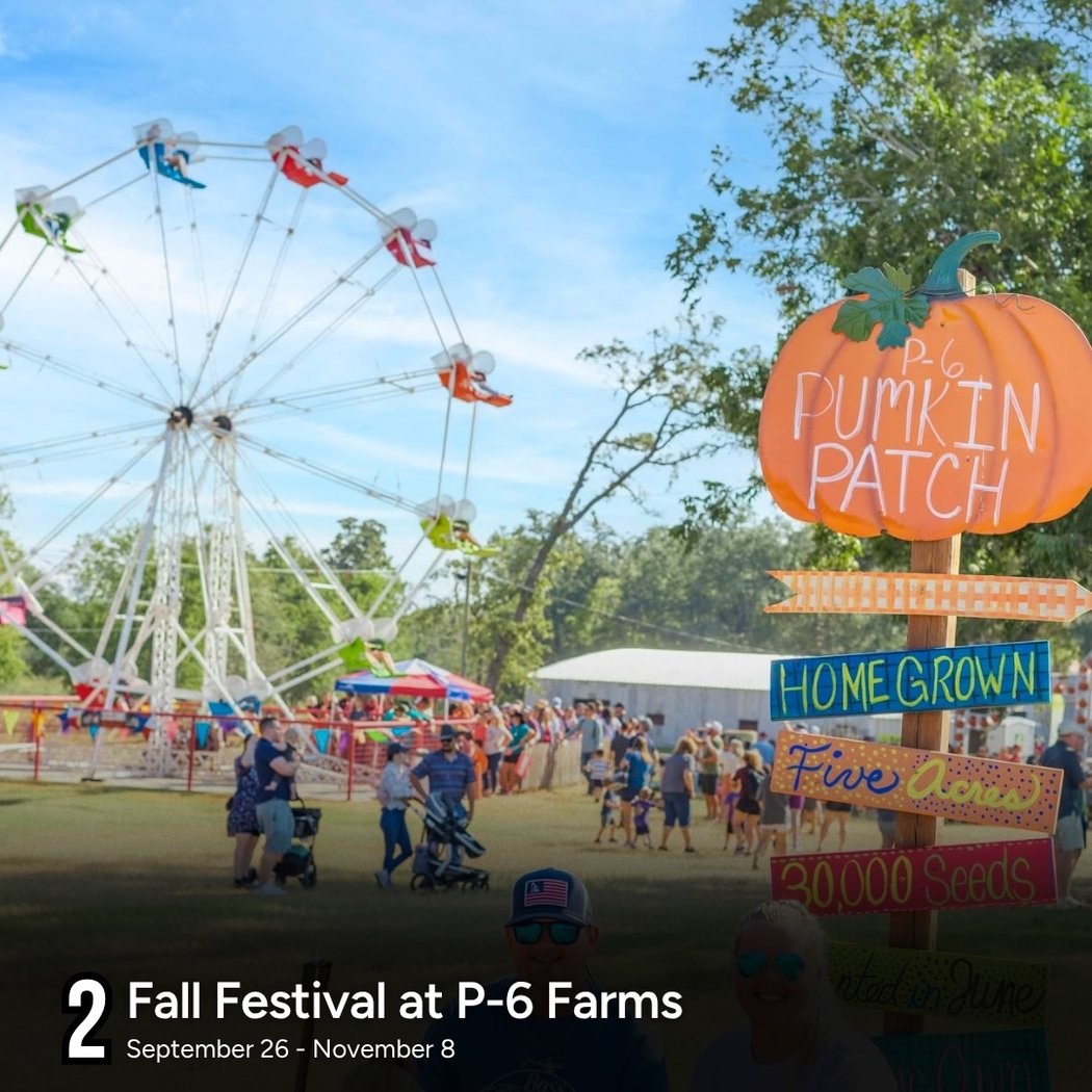 Fall Festival 1
