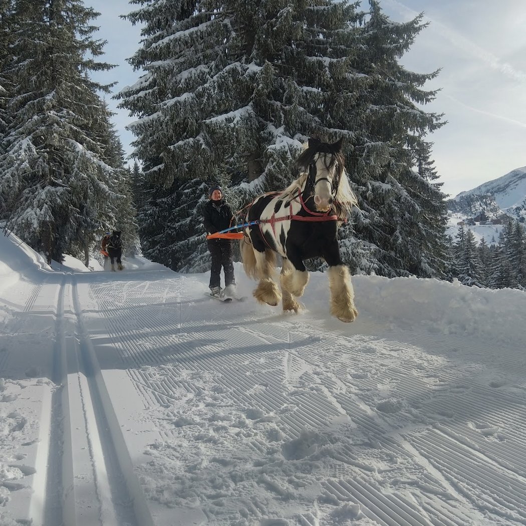 Avoriaz Ski Joëring 4