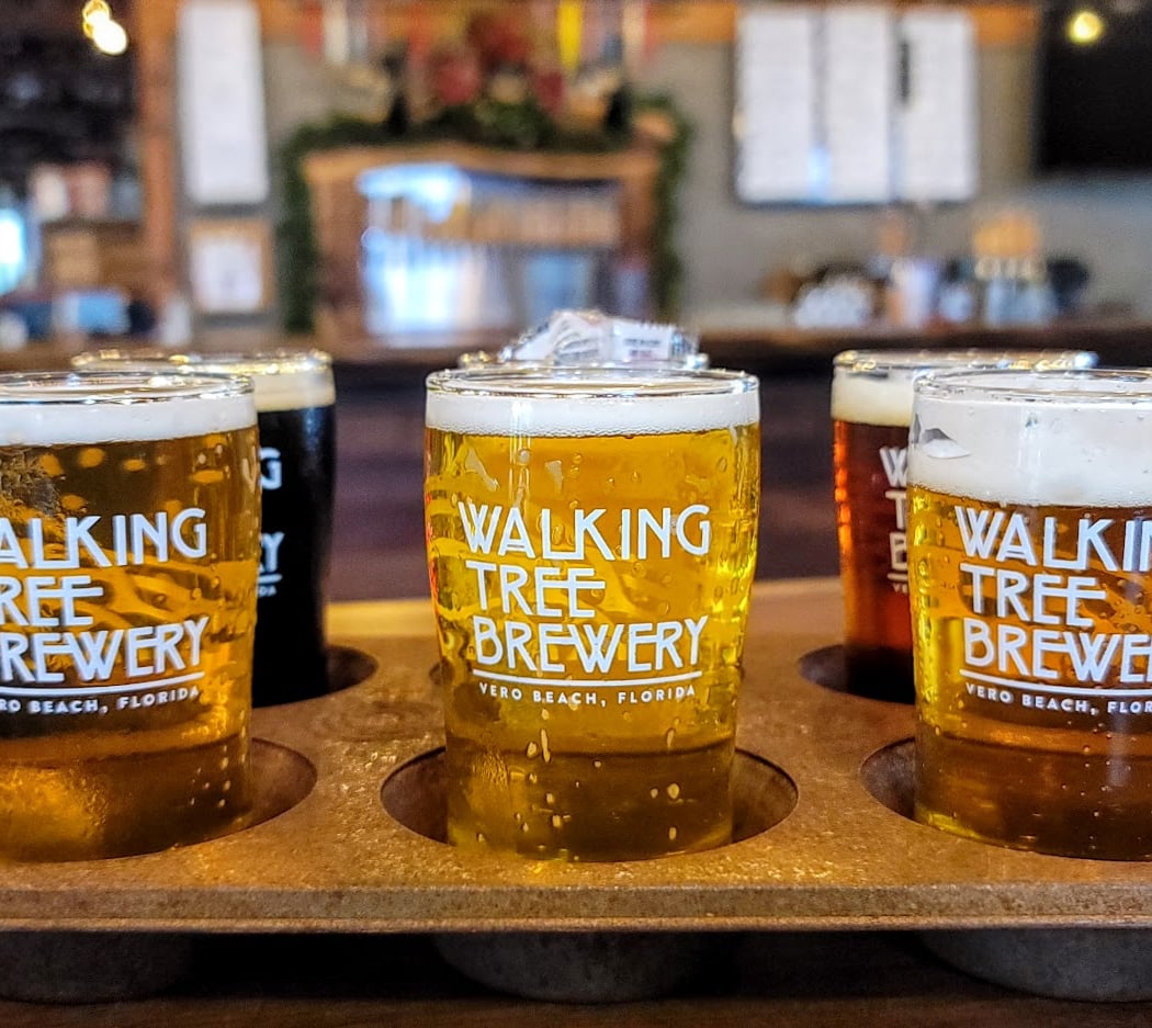 Walking Tree Brewery 1