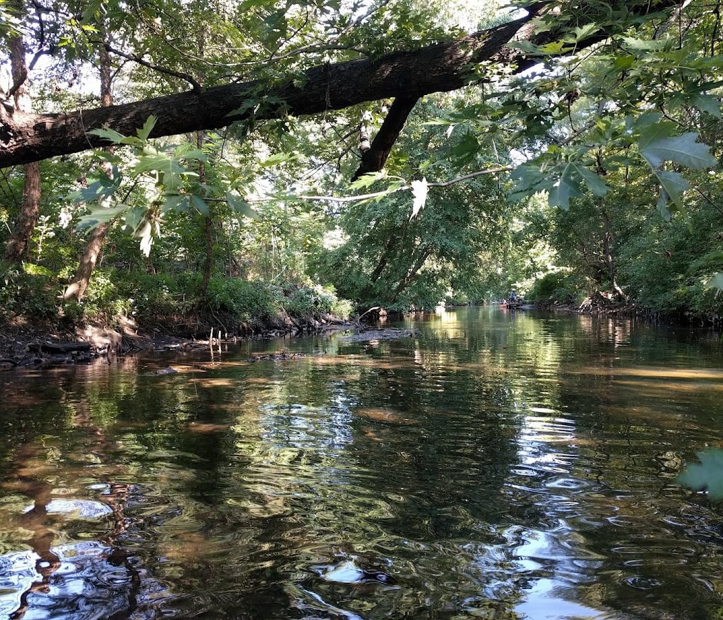 Guided Upper River Paddle 2