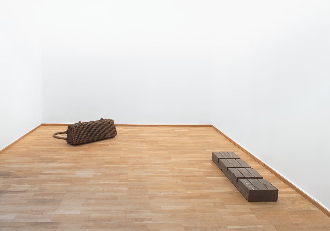 Susana Solano: Derniers Mots — Galerie Bernard Bouche 2