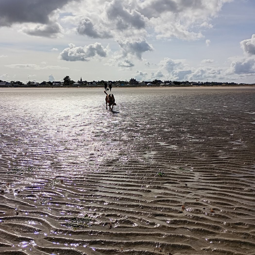 Plage de Quinéville 2