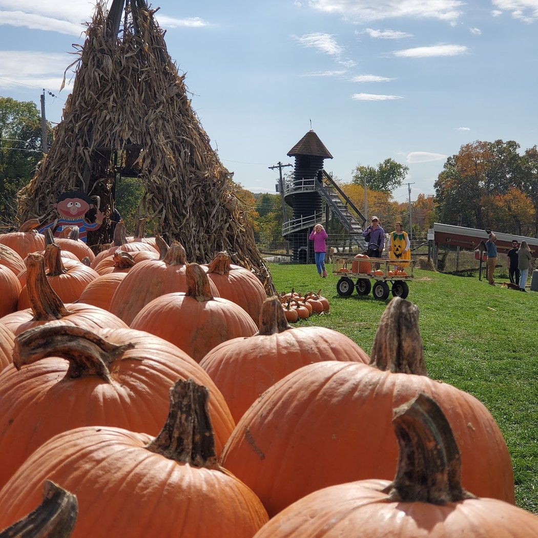 Hahn Farm 1