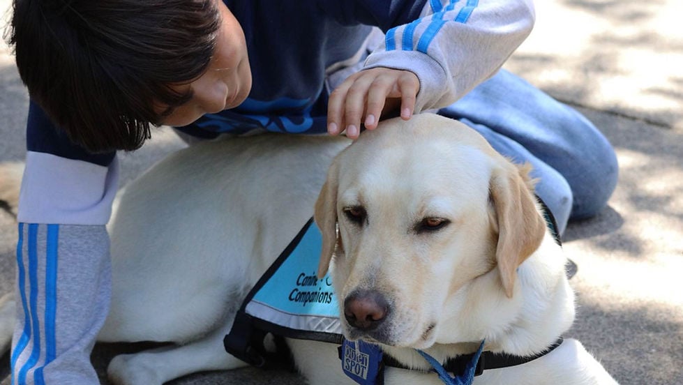 Canine Companions